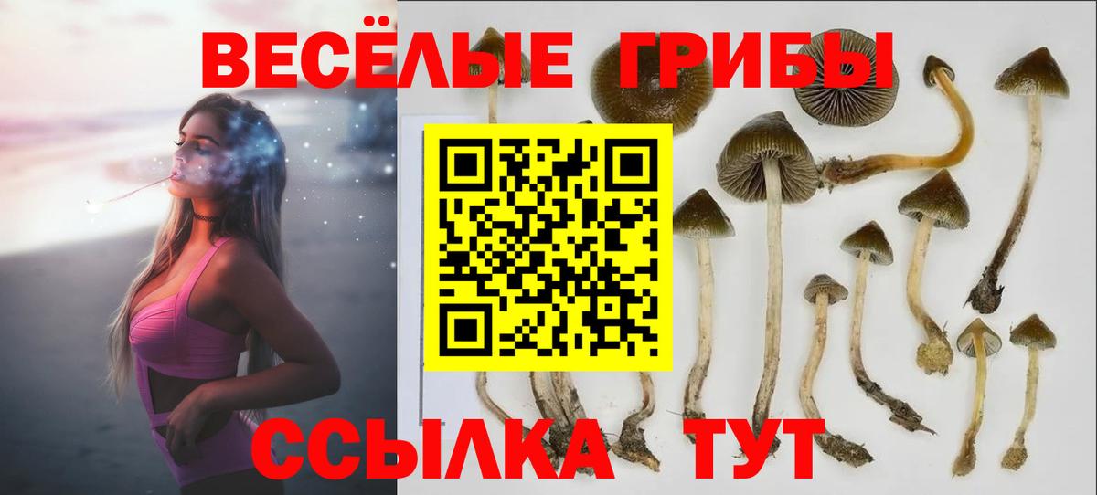 Кольчугино  Галлюциногенные грибы Psilocybine cubensis  Галлюциногенные грибы MAGIC MUSHROOMS  Вход с VPN 
